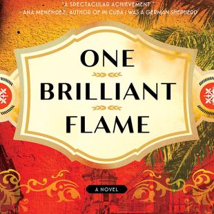 One Brilliant Flame book cover