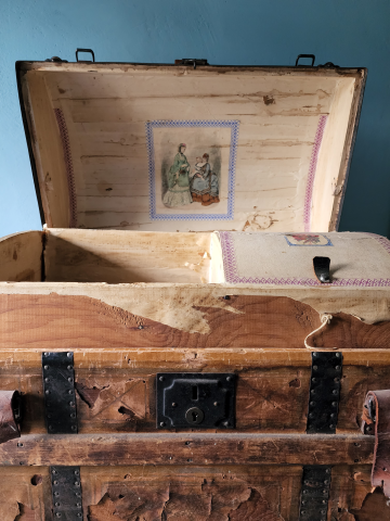 Front of trunk with lid open to display the tray and paper liner.