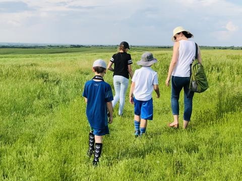 Walking on the Willa Cather Memorial Prairie